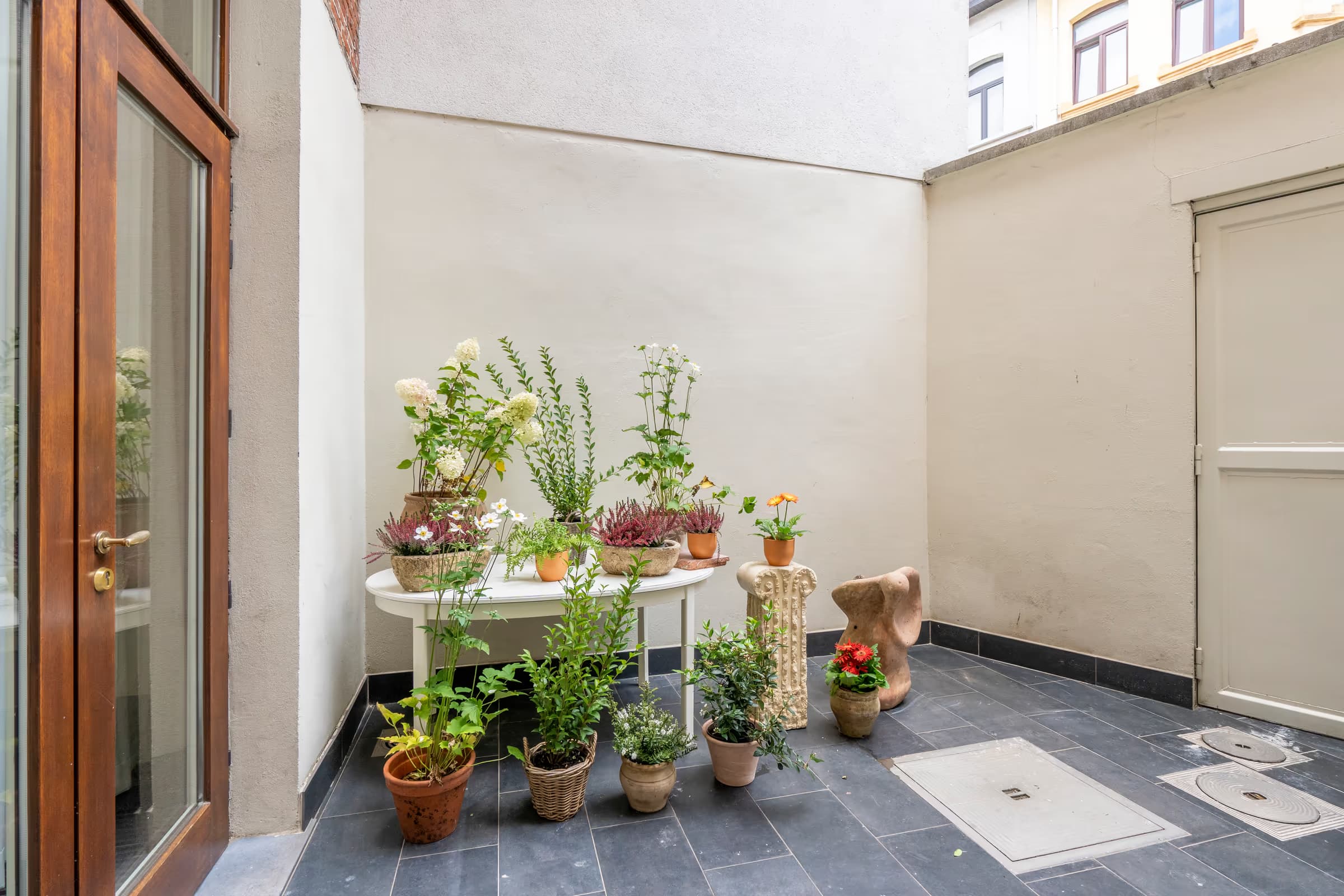 Dodoens miniatuur 16