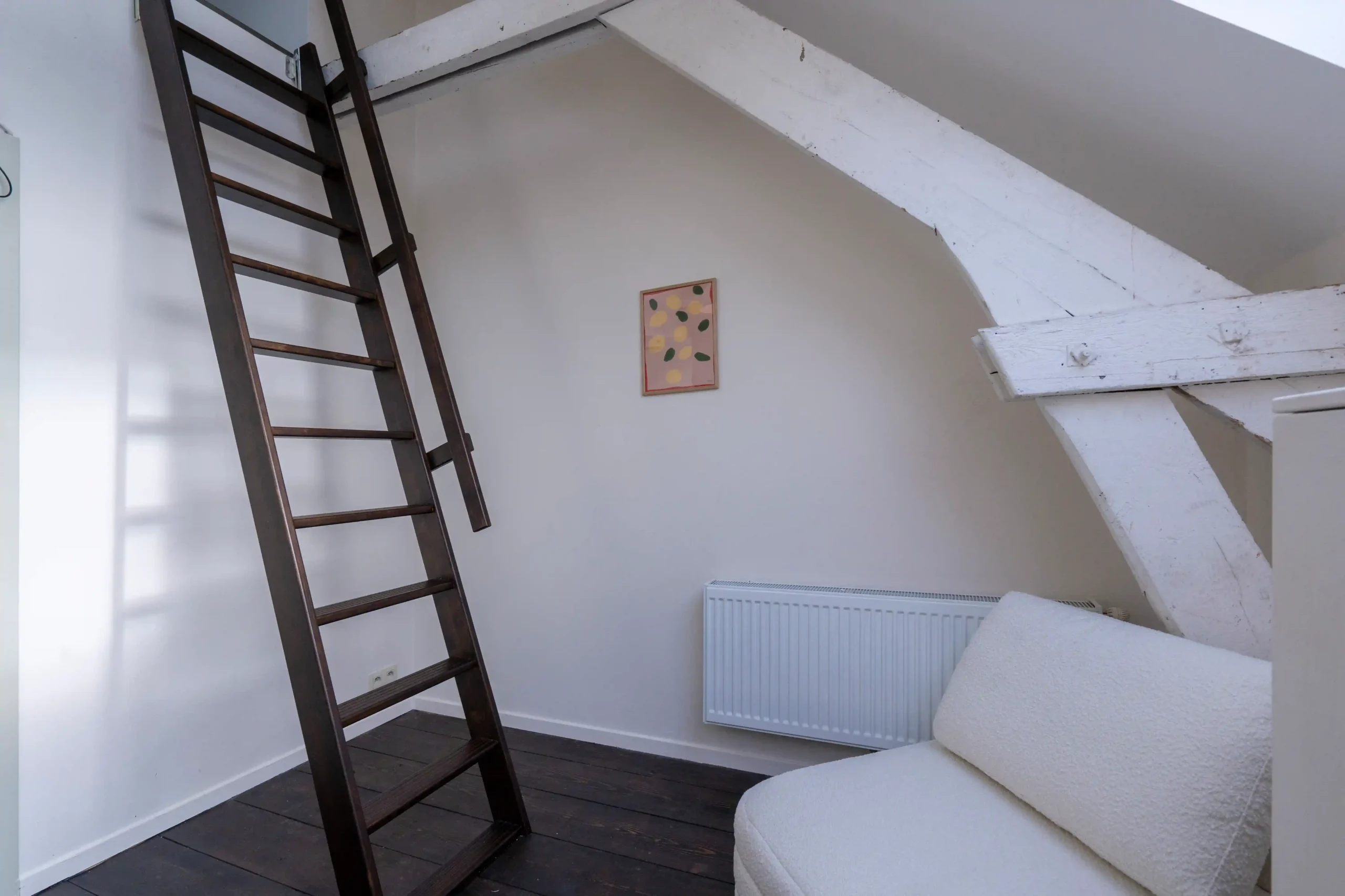 kamerfoto's 1CA0243 compressed